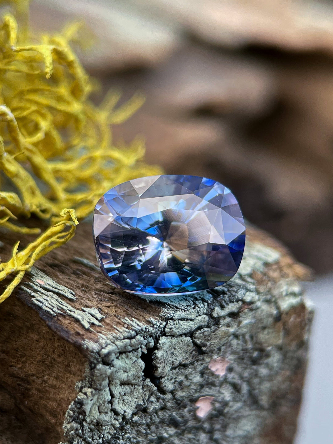 A beautiful Bi-Color Sapphire Cushion Cut  2.28 Carats from Sri Lanka resting on a piece of wood with moss in the background. 