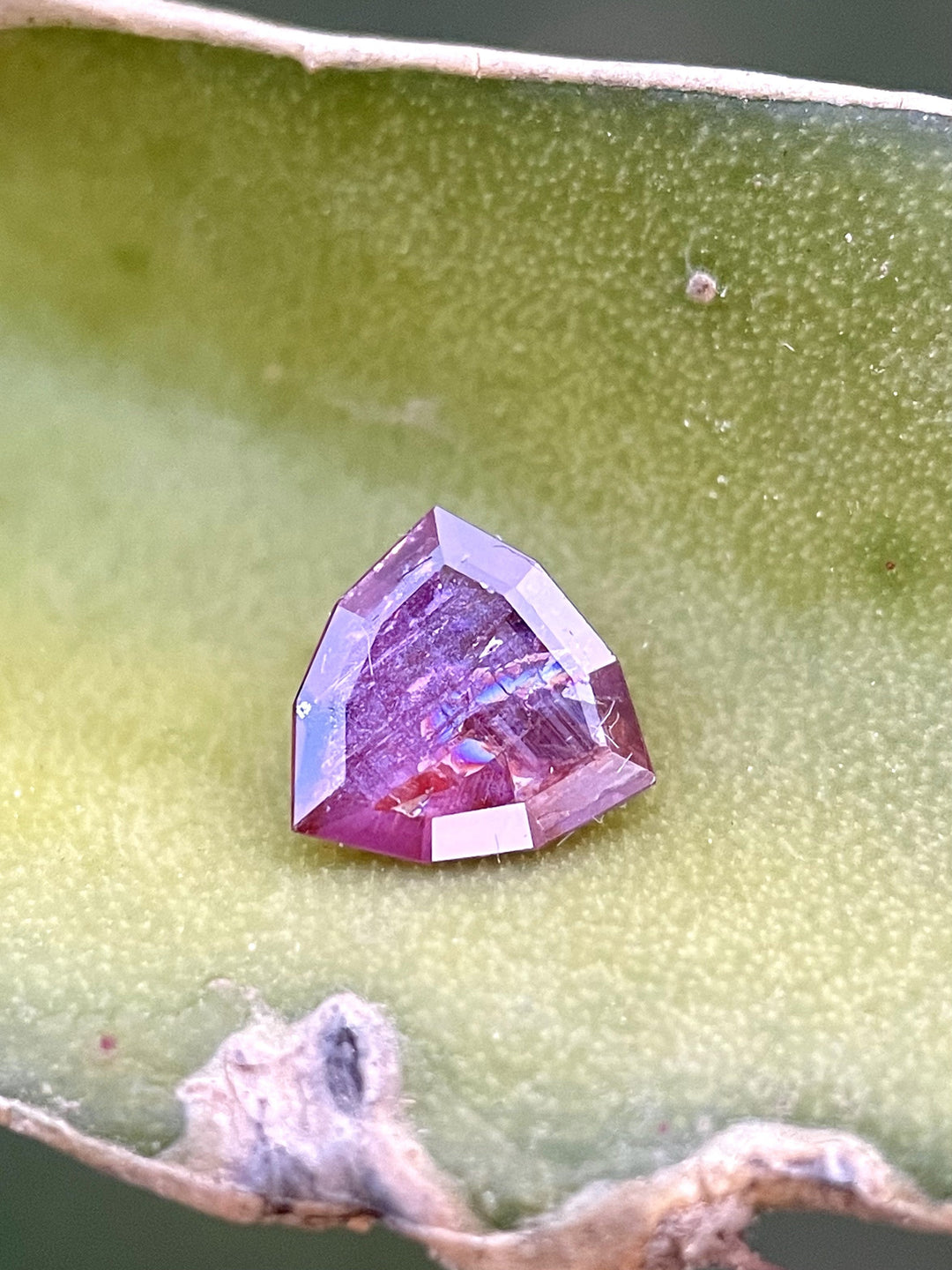 Ethically sourced natural ruby — deep red and plum hues with vivid brilliance — Caleb B. Quashen International.