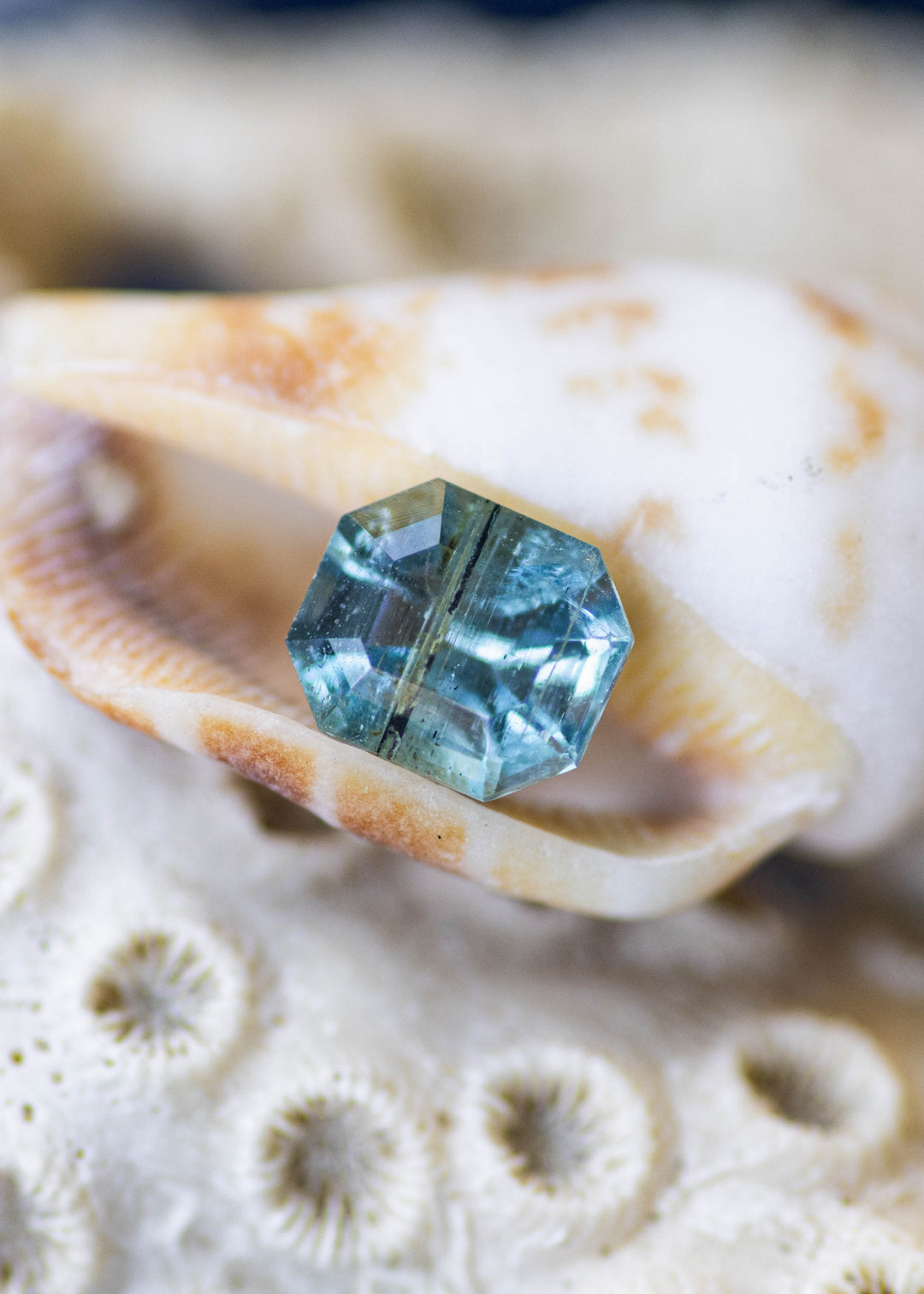 Untreated 0.88 carat deep teal aquamarine from Nigeria displaying its custom octagonal step cut in natural daylight.