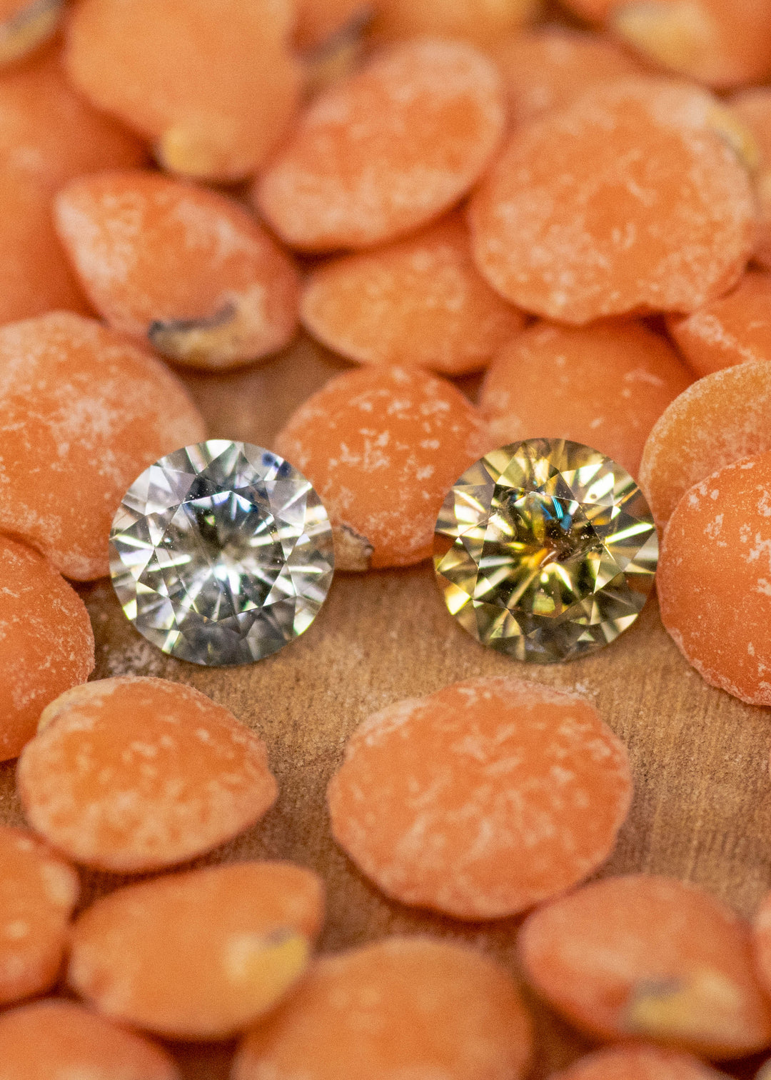 Loose matching pair of yellow, teal and green Montana sapphires shown face-up on natural surface, displaying the round brilliant cut and natural unheated color contrast.