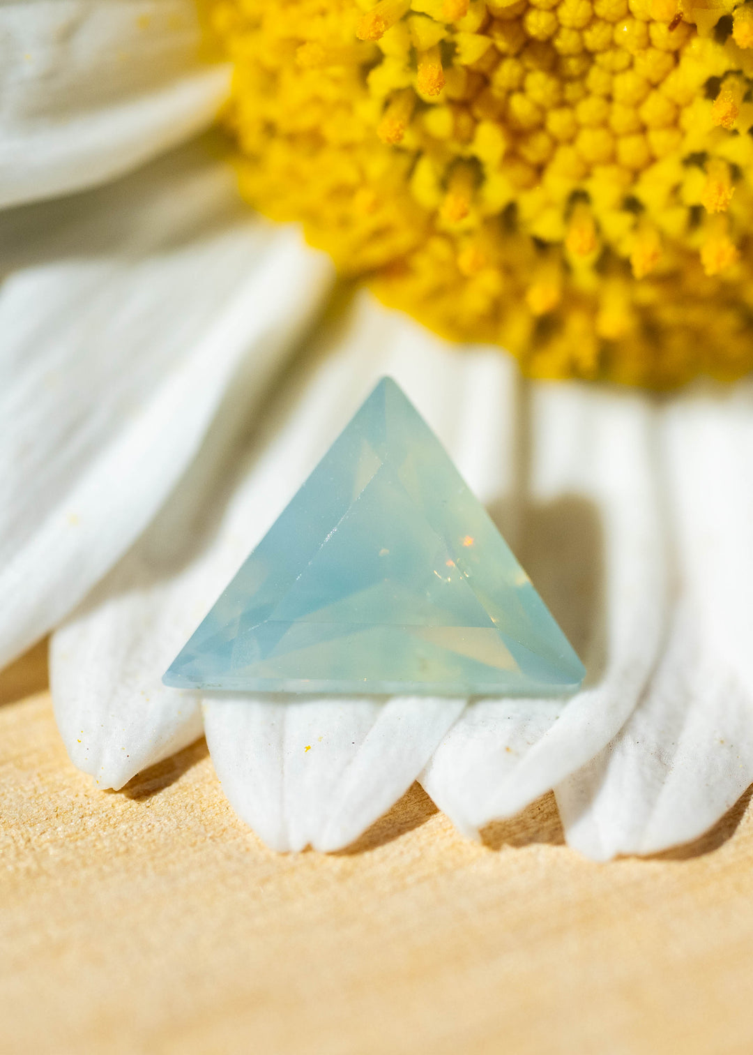 Natural 0.62 carat opalescent icy seafoam blue sapphire from Gombe, Nigeria, photographed on white flower petals beside a yellow floral center. Its precision custom trillion cut reveals delicate blue-green coloration and softly translucent character.