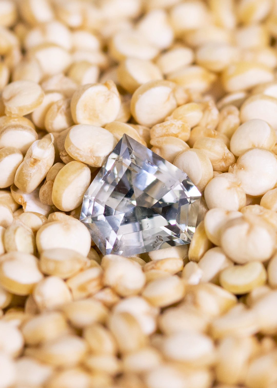 Loose green, teal and blue Montana sapphire shown face-up on natural corn background, displaying the geometric shield mix cut and natural unheated color.