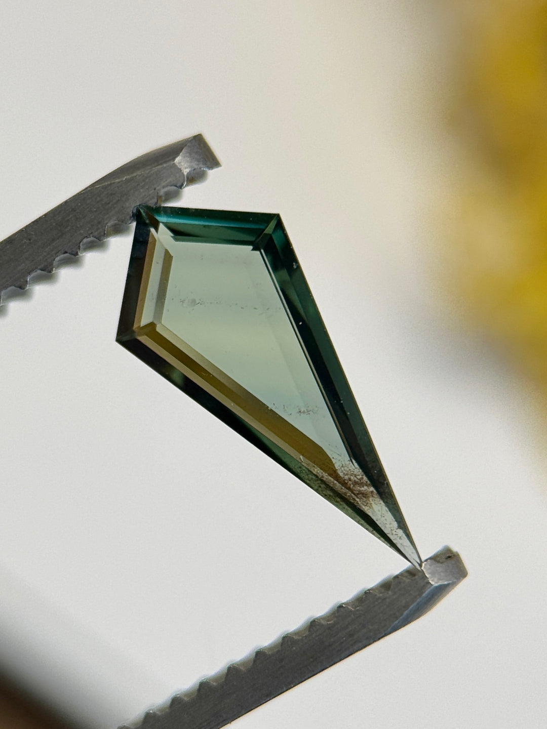Loose green blue teal sapphire kite portrait cut held in tweezers showing elongated silhouette and deep color zoning, natural gemstone.
