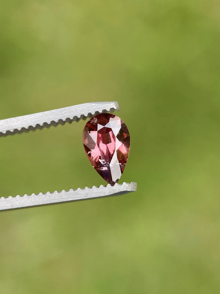 Tanzanian sapphire held delicately in tweezers, showcasing a vivid blush and red color combination in a modified pear cut.