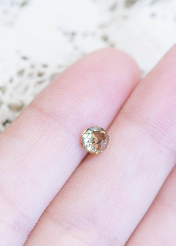 South African champagne diamond displayed on fingertips, emphasizing VVS2 clarity and warm golden-brown sparkle.