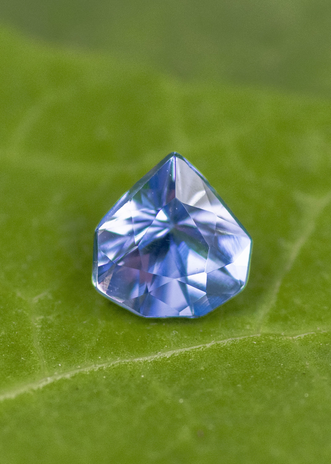 Loose periwinkle violet tanzanite from Merelani Hills Tanzania resting on a green leaf showing the custom geometric shield cut and soft violet blue color.