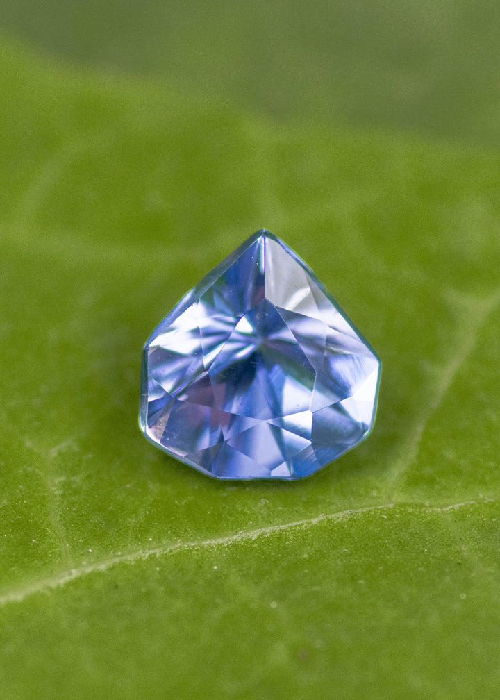 Loose periwinkle violet tanzanite from Merelani Hills Tanzania resting on a green leaf showing the custom geometric shield cut and soft violet blue color.