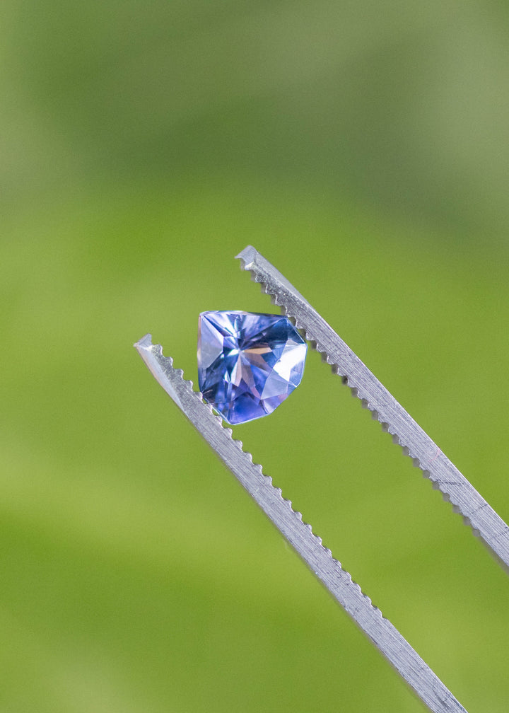 Loose periwinkle violet tanzanite from Tanzania held in tweezers displaying the geometric shield cut and bright reflections across the facets.