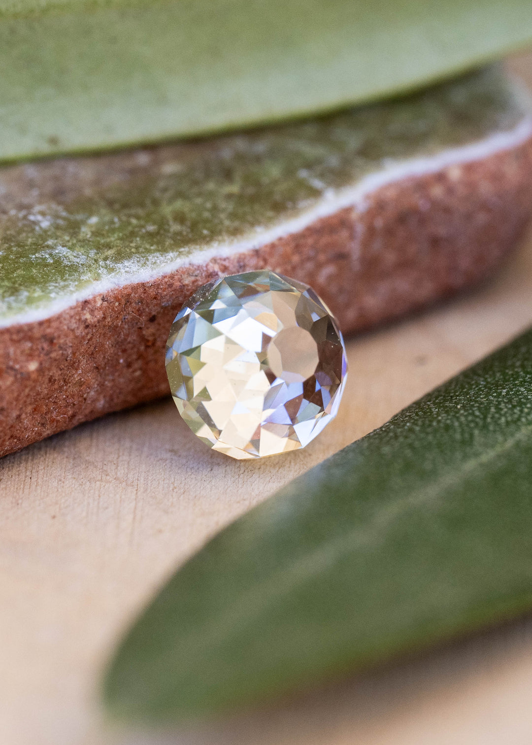Round Mughal cut diamond photographed beside green leaves, displaying pale champagne, silvery white and cool-toned reflections across its broad facets.