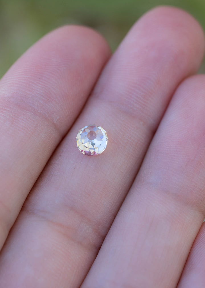 Round South African diamond held between tweezers against green and pink botanical tones, showing its broad central table and surrounding facet structure.