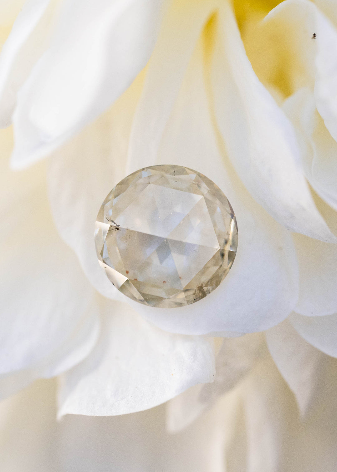 Natural 1.00 carat grey champagne rose cut diamond resting on white flower petals, displaying soft champagne-grey color and classic antique faceting.