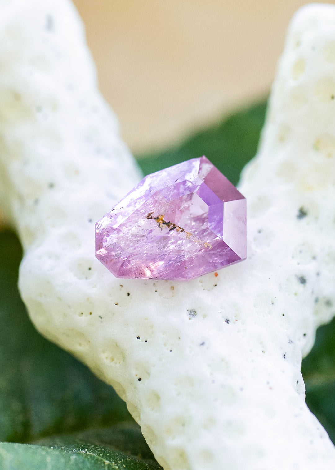 Natural untreated 1.01 carat soft rose pink sapphire from Rio Mayo, Mercaderes, Colombia displayed on coral, featuring a unique custom shield mix cut and natural crystal character.