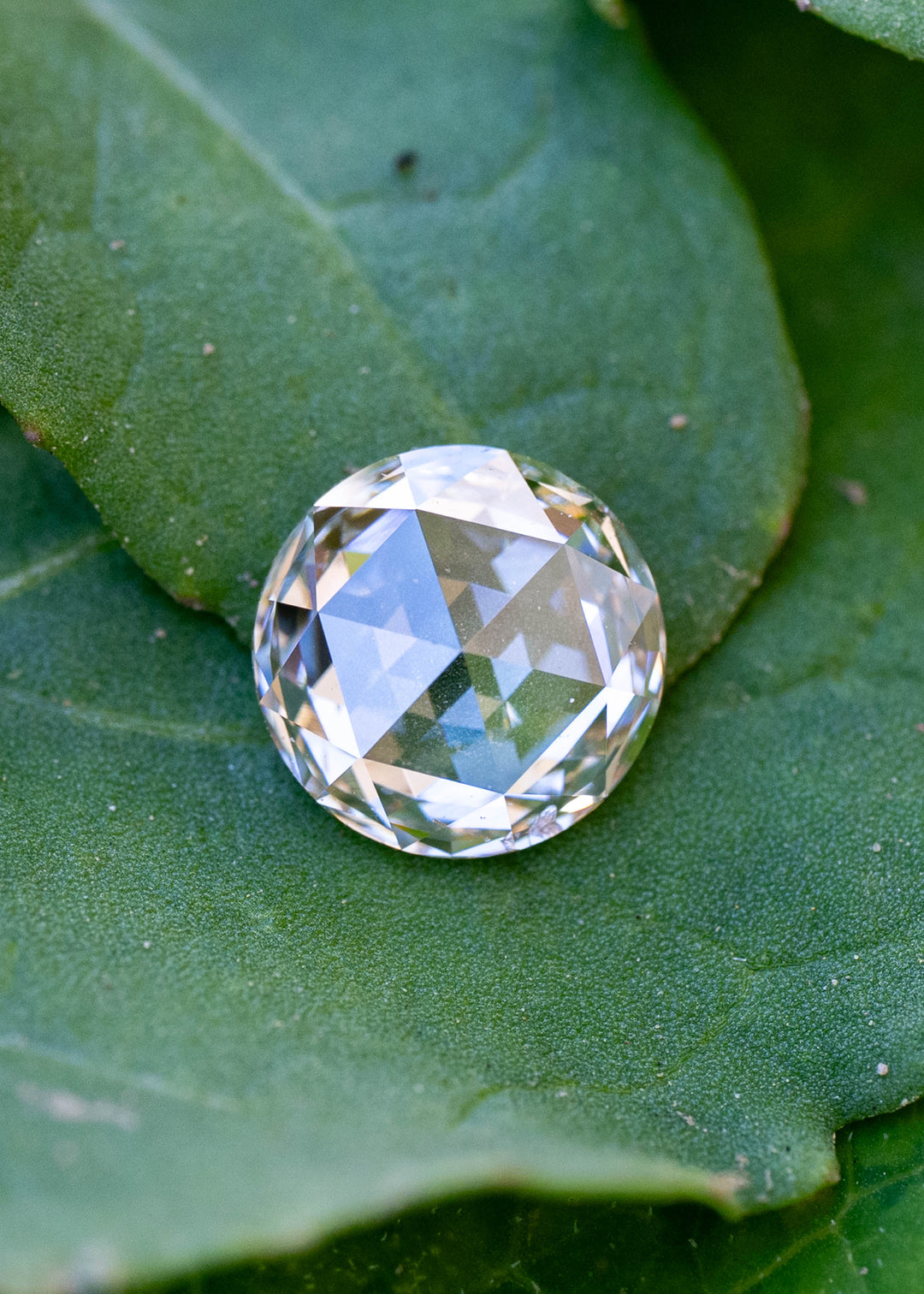 Natural 1.14 carat blush champagne rose cut diamond resting on a green leaf, displaying its soft champagne hue and broad triangular antique-style facets.