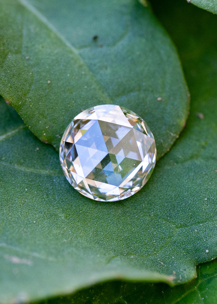 Natural 1.14 carat blush champagne rose cut diamond resting on a green leaf, displaying its soft champagne hue and broad triangular antique-style facets.