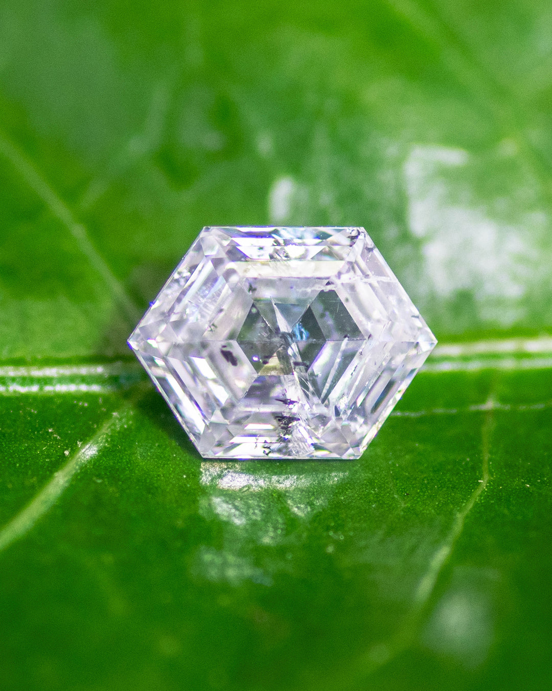Close-up of a natural 1.01 carat G color I2 clarity diamond from Gahcho Kué, Canada, resting on a green leaf. The hexagonal step cut reveals intricate geometric symmetry and natural inclusions that highlight its raw character and brilliance.