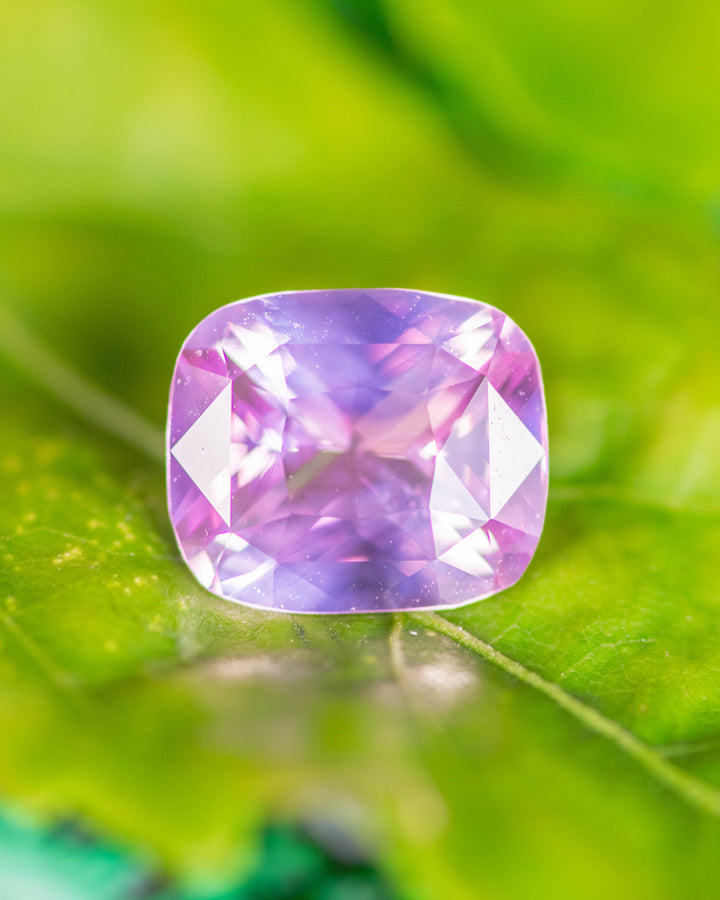 1.01 carat pink sapphire resting on bright green leaf, showcasing cushion brilliant cut facets and natural untreated luster, ethically sourced gemstone from Madagascar.