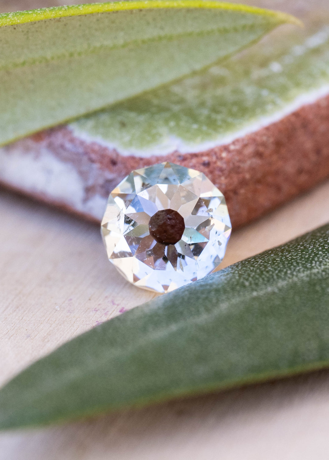 Face-up 1.01 carat South African Mughal cut diamond photographed among green leaves, showing its round outline, central table, radial faceting and visible natural inclusions.
