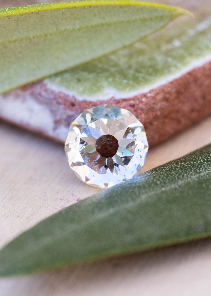 Face-up 1.01 carat South African Mughal cut diamond photographed among green leaves, showing its round outline, central table, radial faceting and visible natural inclusions.