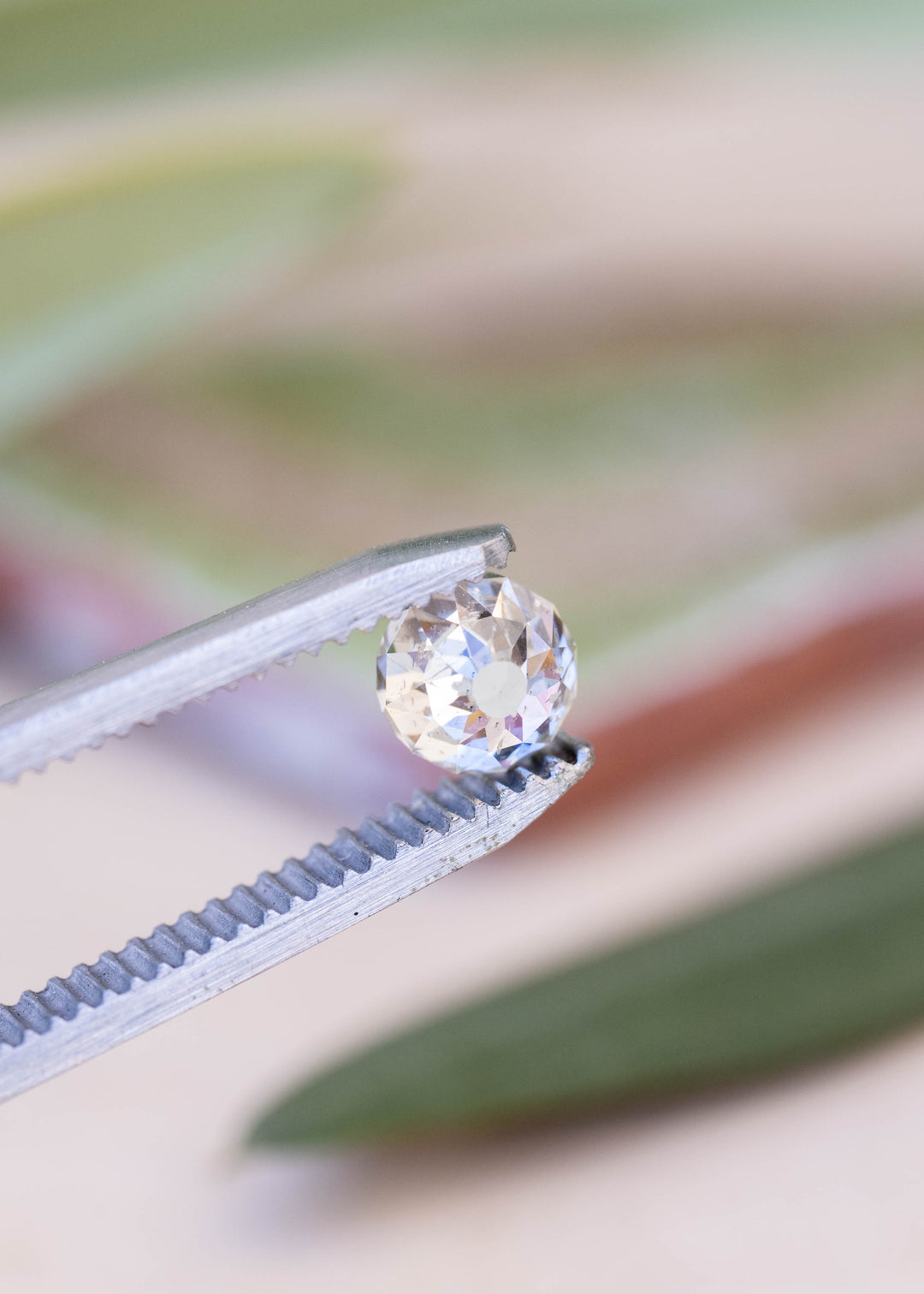 1.01 carat Mughal cut diamond held between jeweler’s tweezers against a softly blurred botanical background, displaying its antique-style faceting and pale champagne-white appearance.