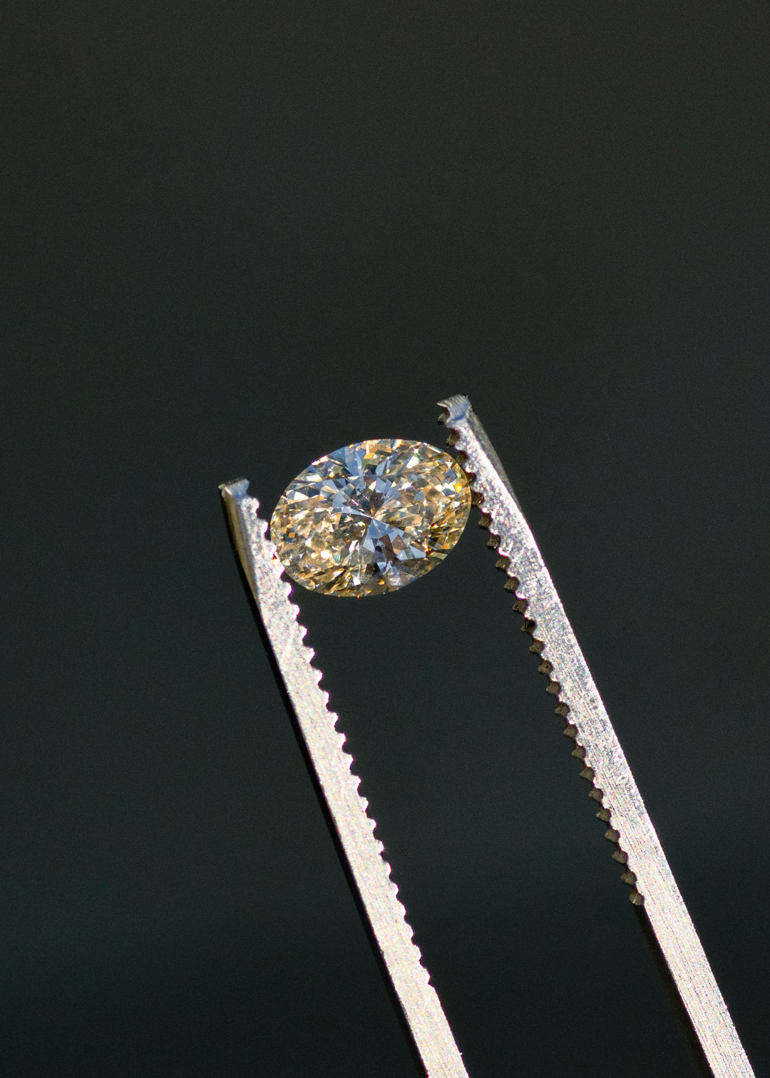 1.02ct natural champagne oval brilliant cut diamond from Canada held in gem tweezers showing off brilliant faceting and warm tones.