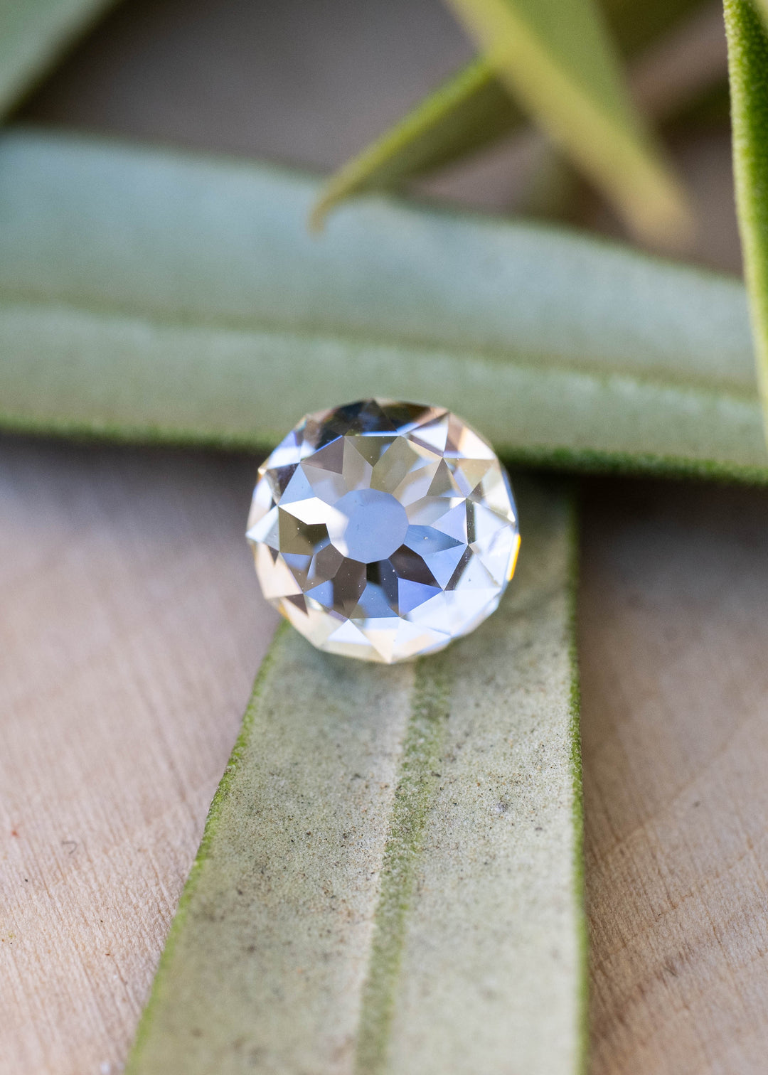 Round Mughal cut diamond resting on a green leaf, displaying a pale central table surrounded by contrasting champagne, silver and cool blue reflections.
