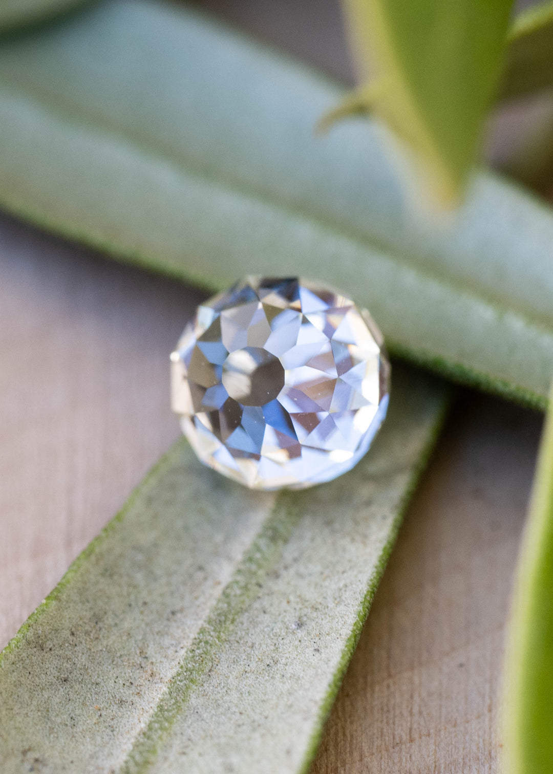 Close angled view of the 1.06 carat diamond among green leaves, showing its broad historic-inspired facets and changing pattern of light.