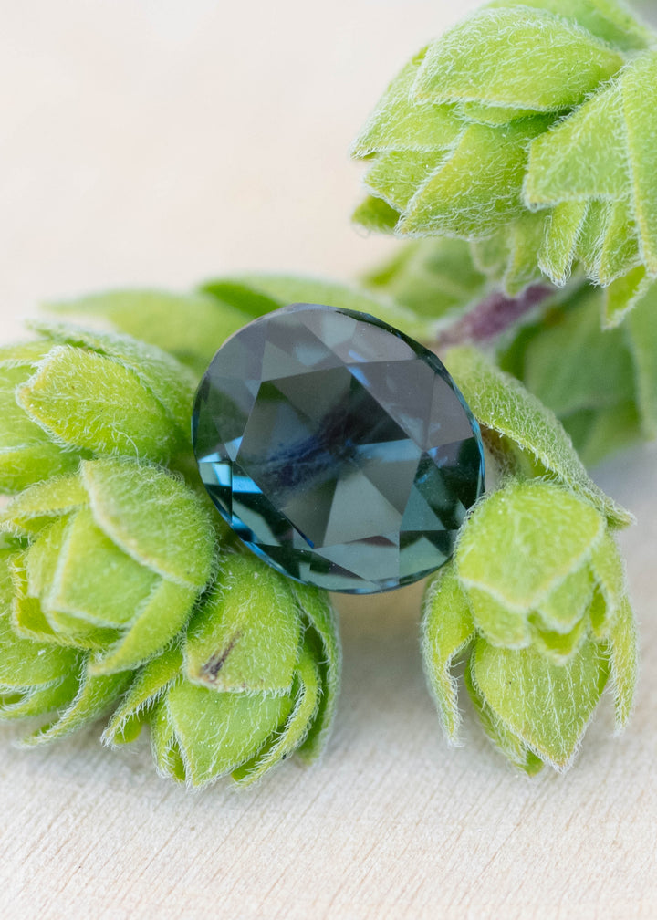 1.06 carat teal Madagascar sapphire oval rose cut displayed on plant backdrop