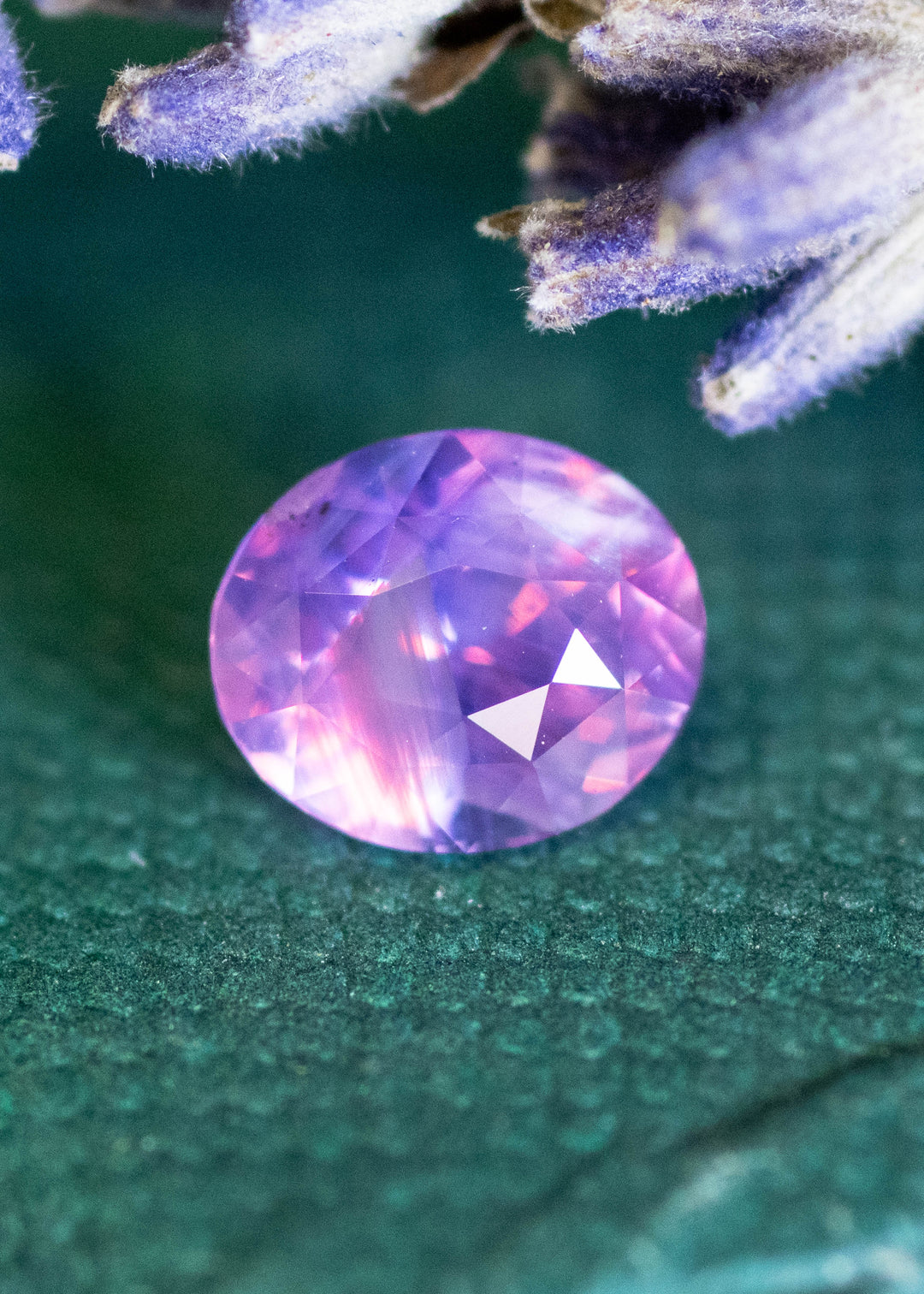 Loose 1.08 carat opalescent purple pink sapphire resting on a green surface beneath lavender flowers, showing soft violet body color with rose flashes in a precision oval mix cut.