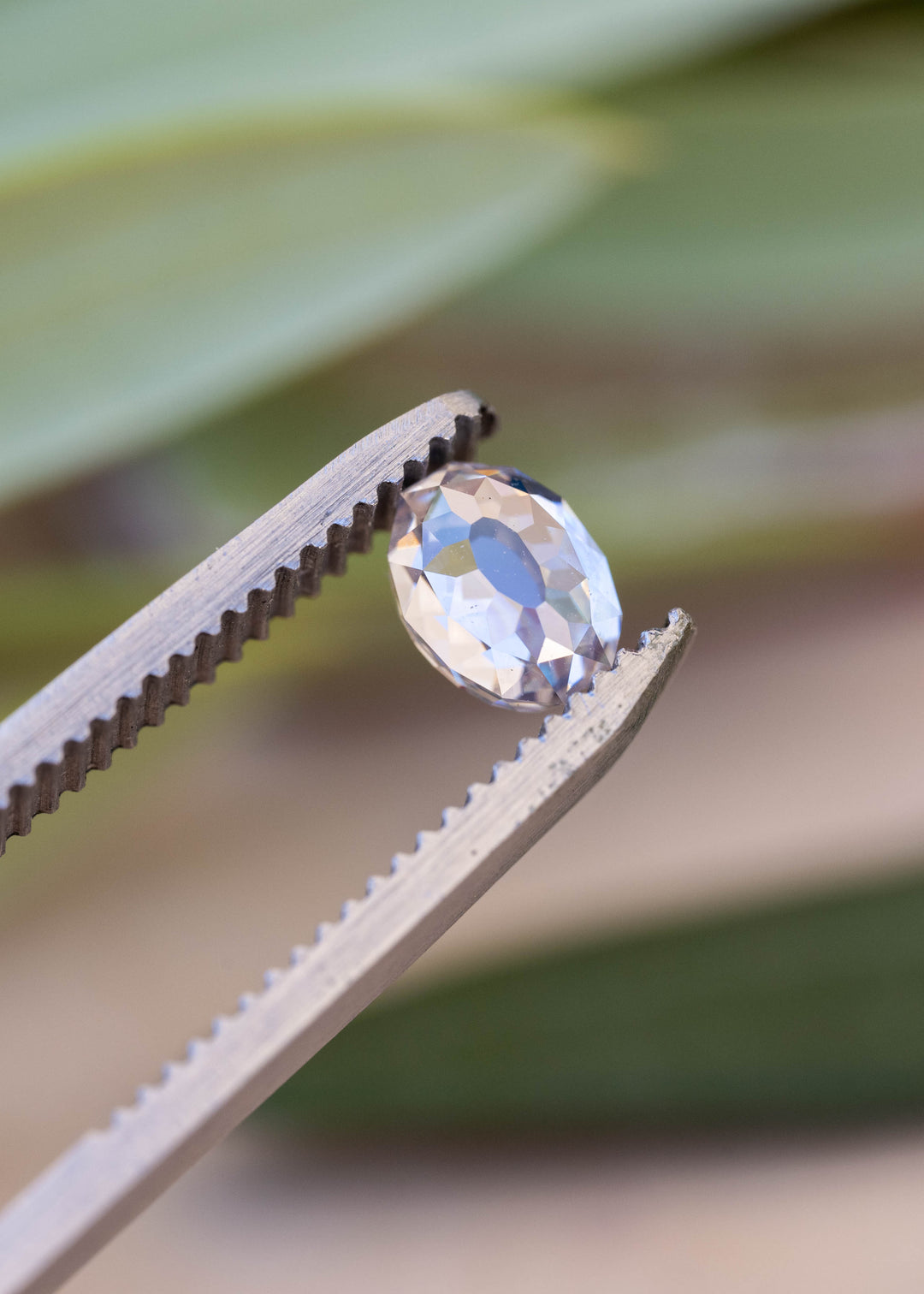 Oval Mughal cut diamond held between jeweler’s tweezers against a softly blurred botanical background, displaying pale champagne, white and blue reflections across its broad facets.