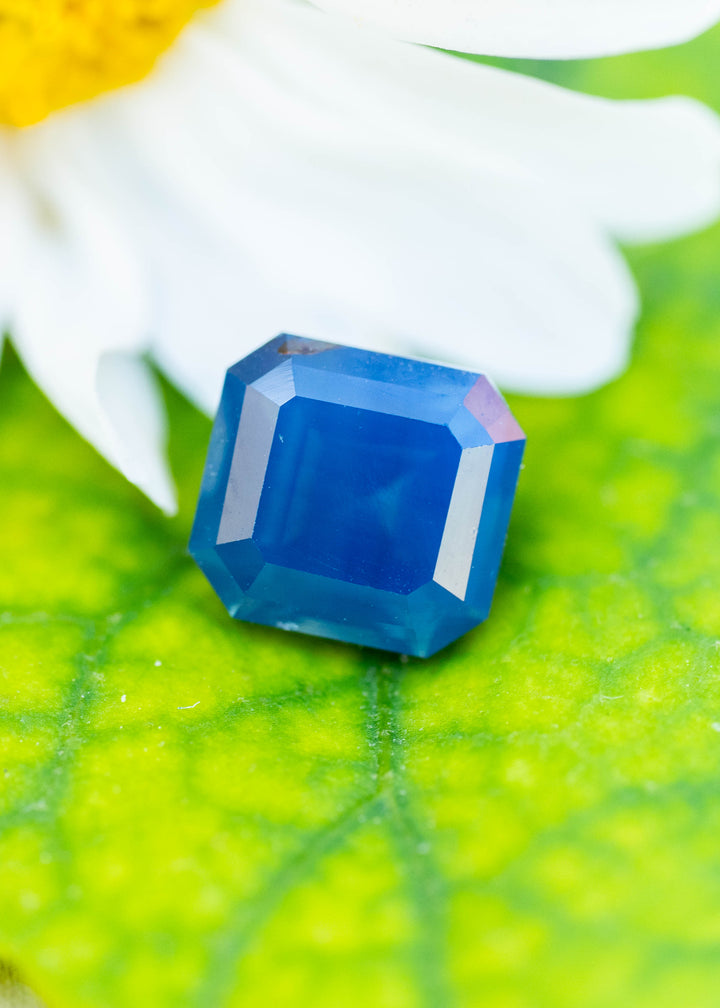 Untreated 1.08ct denim blue sapphire from Gombe, Nigeria, photographed on a vivid green leaf beneath a white flower. Its squared octagonal step cut reveals rich blue color and lighter reflections along the beveled edges.