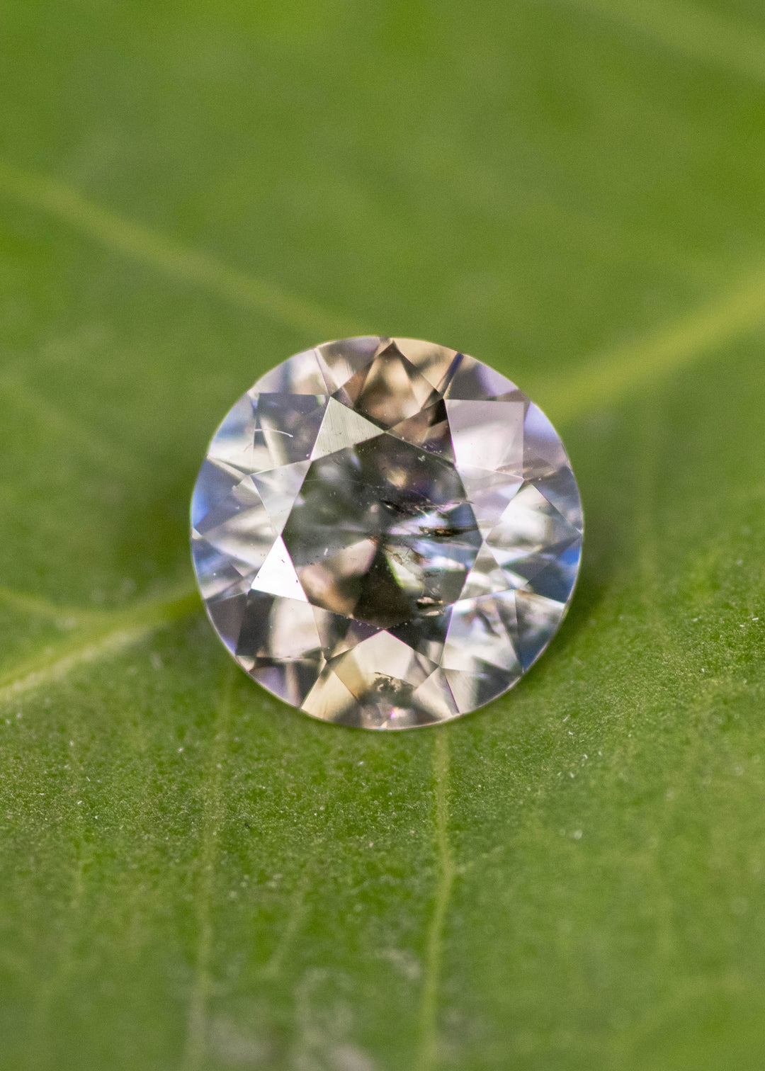 Close-up of 1.08 carat blue and brown tanzanite custom modified round brilliant resting on green leaf, displaying brilliance, symmetry, and precision faceting for fine custom jewelry.