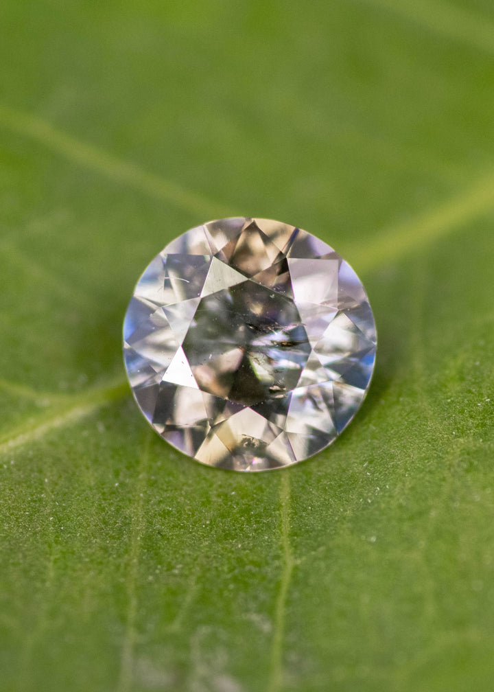 Close-up of 1.08 carat blue and brown tanzanite custom modified round brilliant resting on green leaf, displaying brilliance, symmetry, and precision faceting for fine custom jewelry.