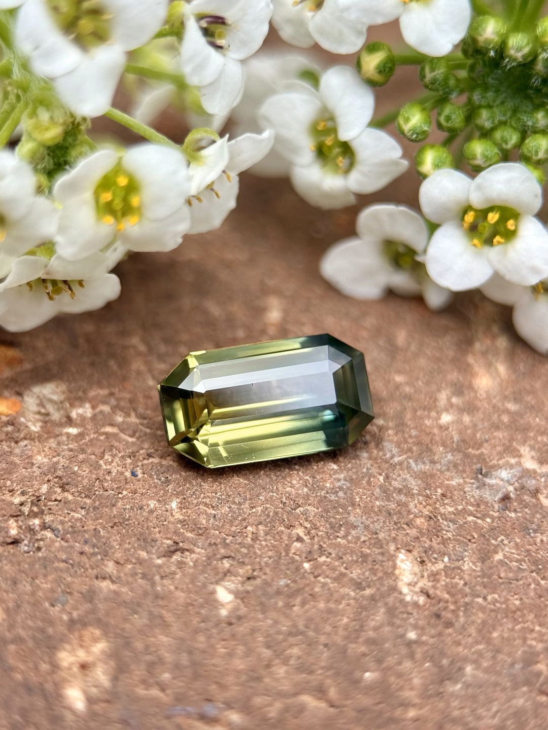 Emerald cut 1.09ct sapphire with bi-color hues of yellow and green resting on a rustic surface beside white flowers