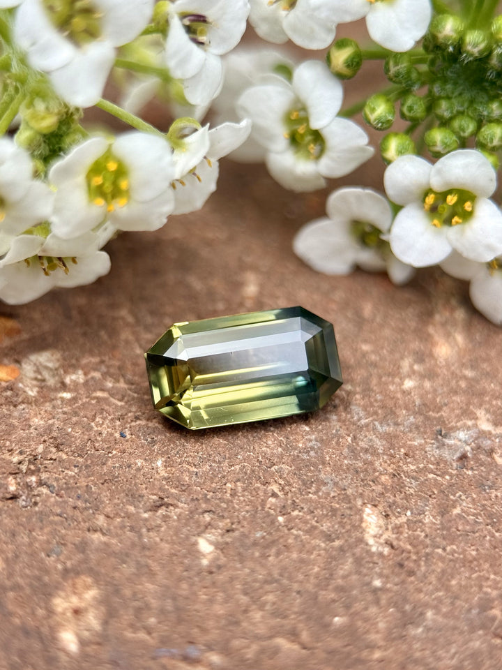 Emerald cut 1.09ct sapphire with bi-color hues of yellow and green resting on a rustic surface beside white flowers