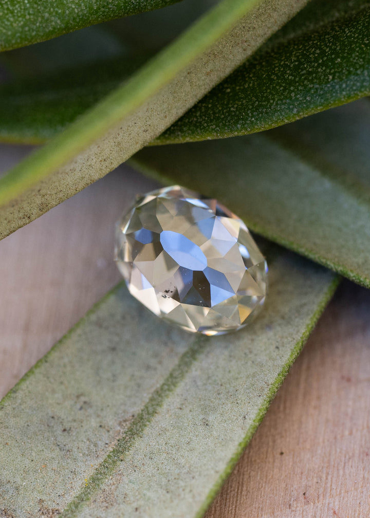 1.09 carat oval Mughal cut diamond resting among green leaves, showing pale champagne warmth, cool reflections and visible natural inclusions.