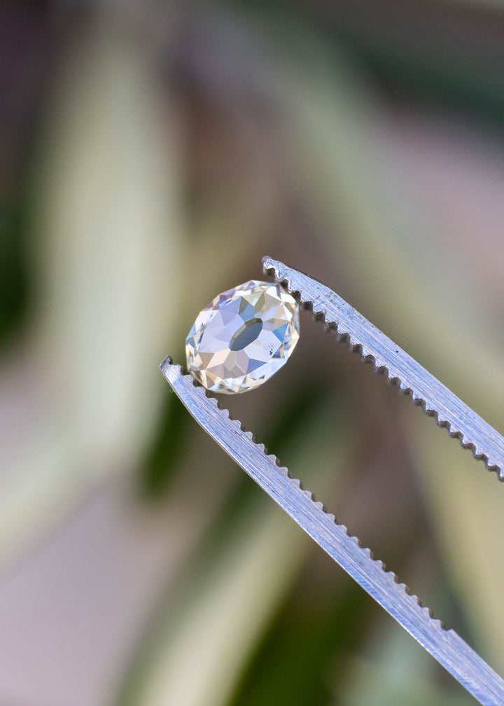 Oval Mughal cut South African diamond held between jeweler’s tweezers against a softly blurred botanical background, showing its open table and antique-style faceting.