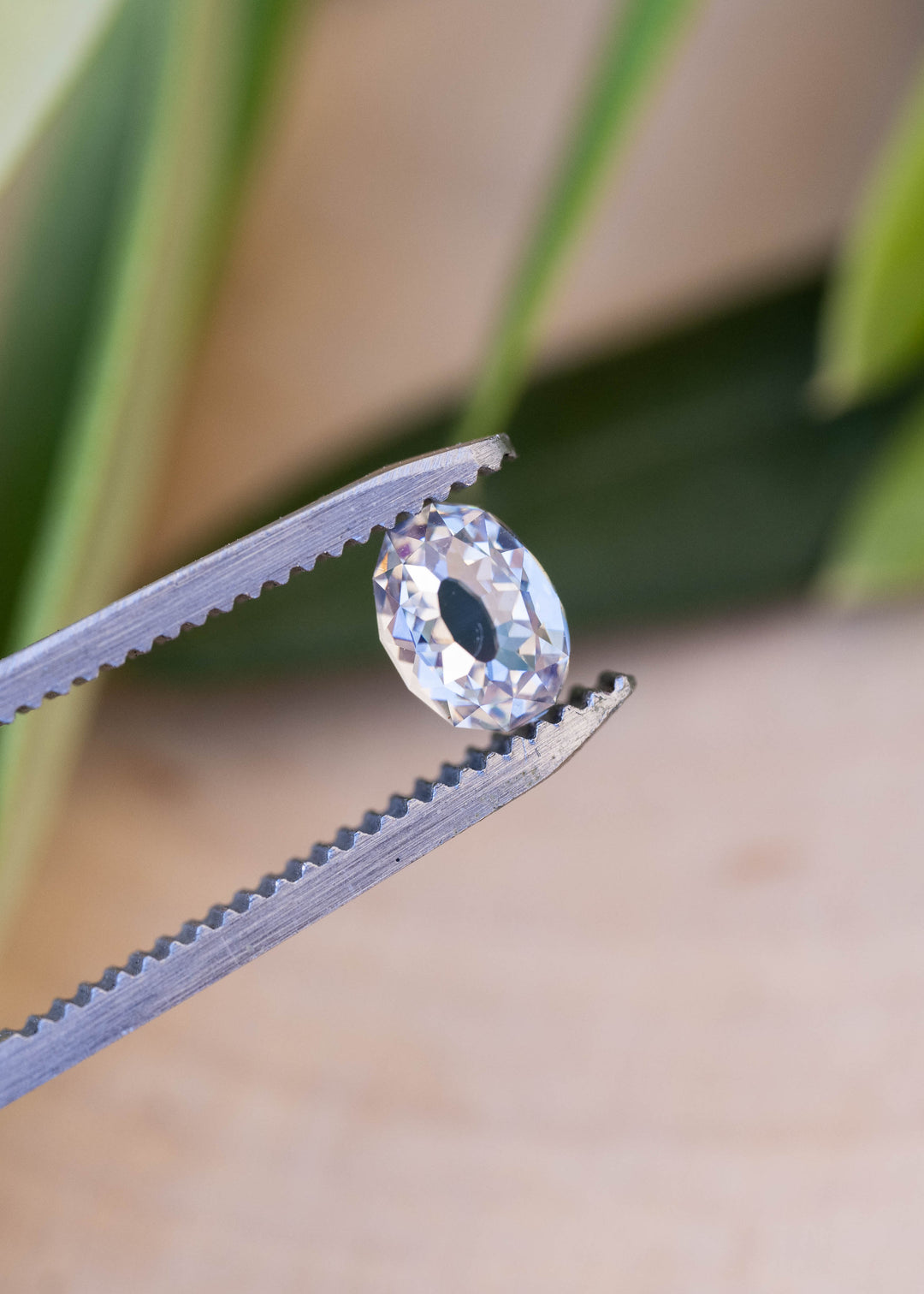 1.11 carat oval diamond held between jeweler’s tweezers against a softly blurred botanical background, showing its elongated outline and open central table.