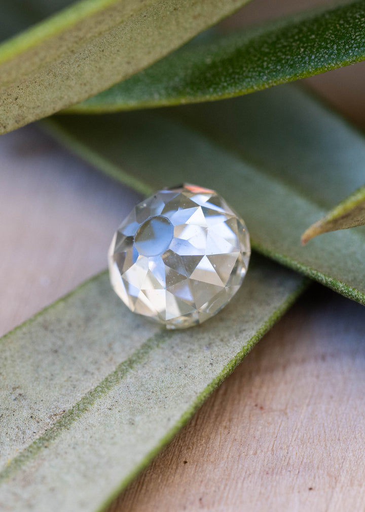 1.11 carat round Mughal cut South African diamond resting among green leaves, photographed at an angle to show its depth and broad geometric facets.