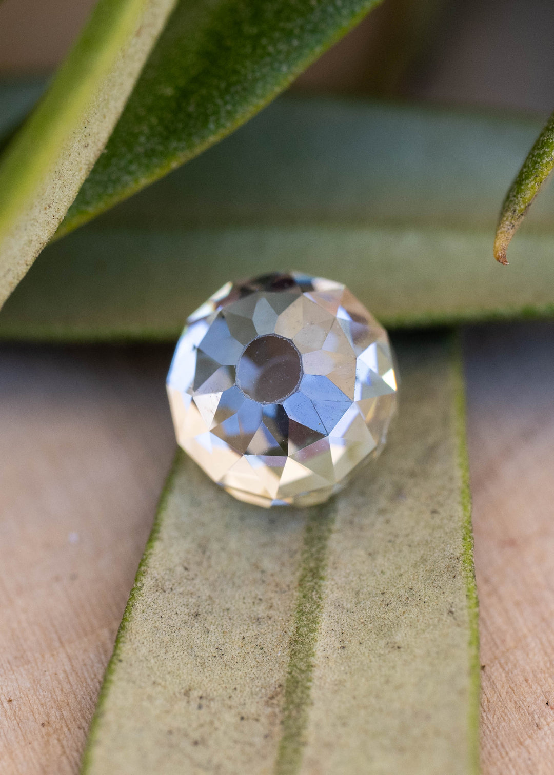 Close-up face-up view of a 1.11 carat round Mughal cut diamond among leaves, showing its broad central table and softly irregular radial faceting.