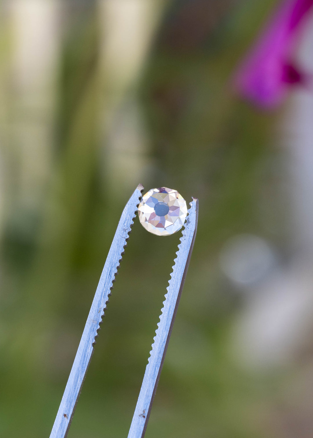 Close-up of the round Mughal cut diamond in tweezers, revealing pale champagne, white and cool blue reflections across its broad facets.