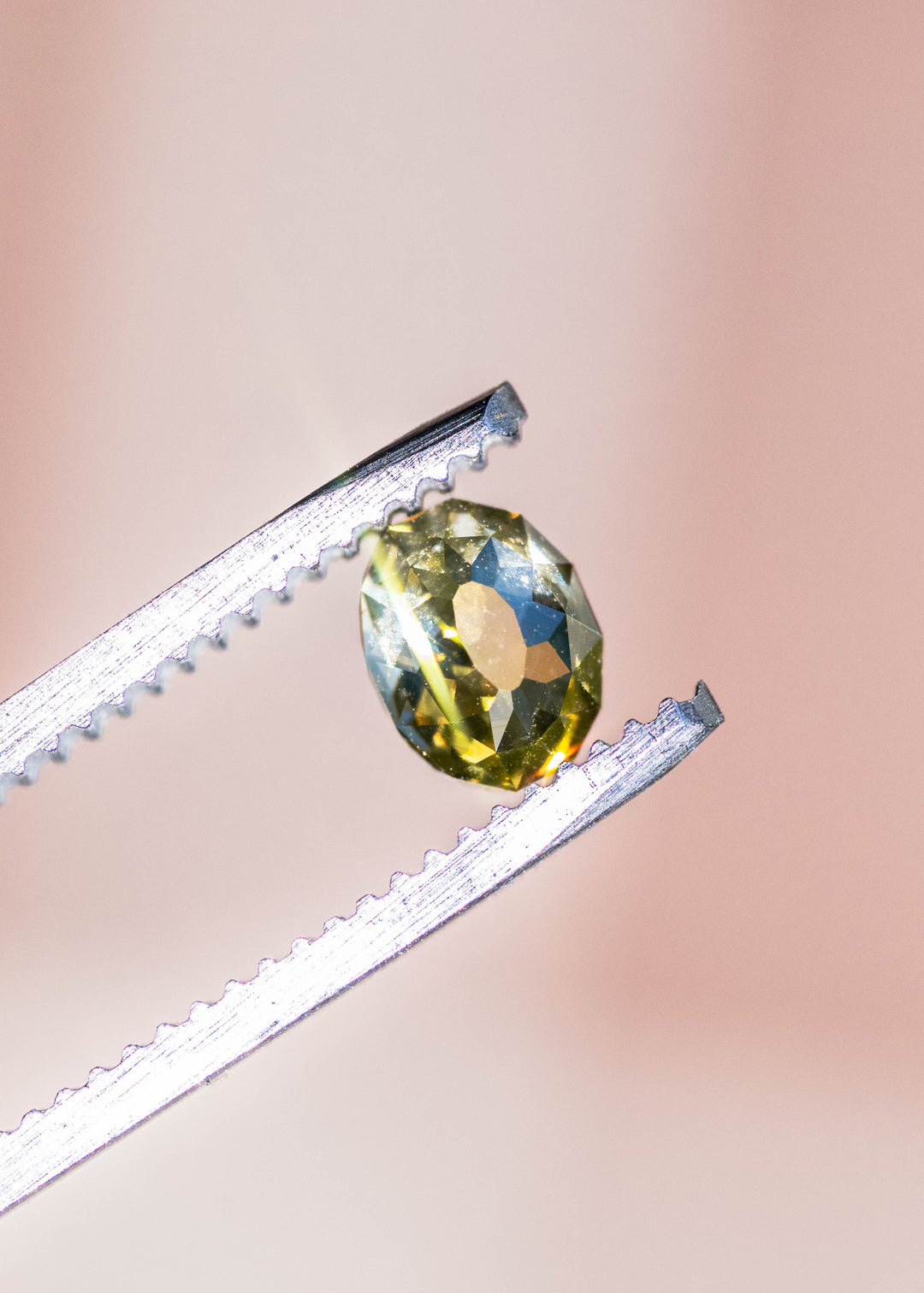 Fancy yellow brown oval diamond held in tweezers in direct sunlight. Showing off sparkle and fluorescence.
