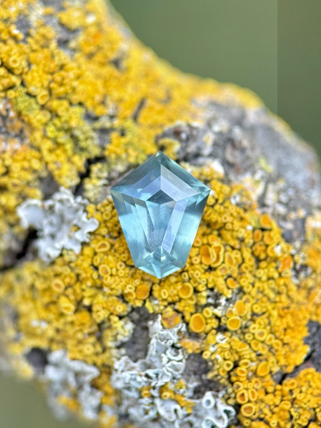 1.14 carat Montana sapphire in a custom step cut shield shape, featuring teal, green, and blue hues, displayed on textured yellow and white lichen-covered rock for a nature-inspired presentation.