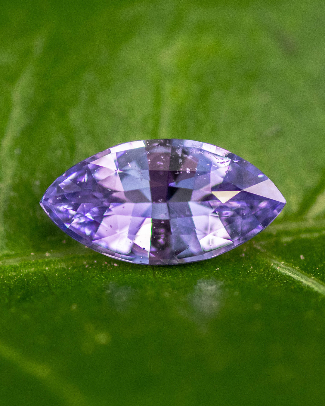 1.15 carat lavender and purple sapphire resting on a natural green leaf, displaying its elongated marquise mixed cut facets and vibrant color play, untreated gemstone sourced from Sakaraha, Madagascar