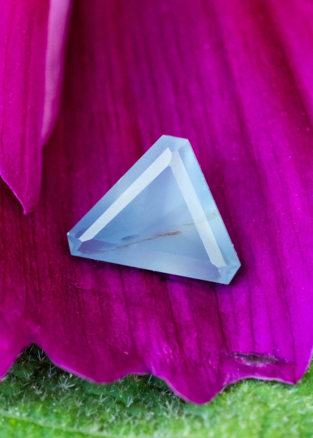 Pale, opalescent blue triangular sapphire resting on a vivid magenta flower petal. A fine brownish inclusion crosses its softly clouded center, framed by broad, angular facets.