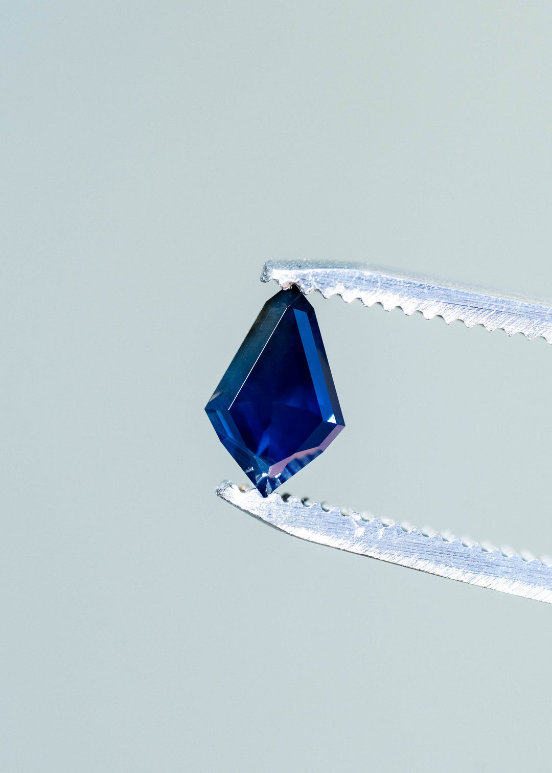 Deep navy-blue kite-shaped sapphire held vertically in silver tweezers. Its broad center appears dark blue, with brighter cobalt reflections near the lower point and a narrow border of polished geometric facets.