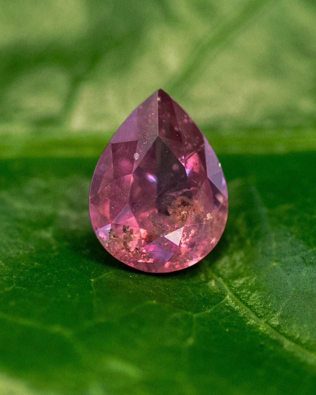 1.24 carat orange pink red sapphire resting on a natural green leaf, displaying vivid color transitions and a modified brilliant pear cut, untreated and ethically sourced from Umba River Valley, Tanga, Tanzania.