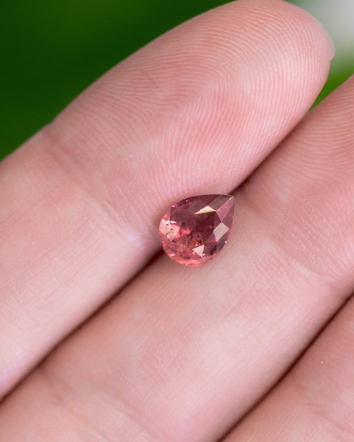 1.24 carat pear cut sapphire held in gemstone tweezers, revealing its natural orange, pink, and red tones with sparkling brilliance, untreated and sourced from Umba River Valley, Tanga, Tanzania.