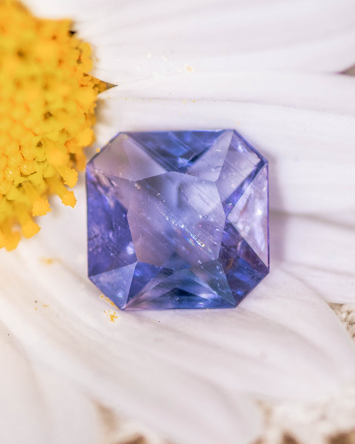 1.26 carat violet blue sapphire resting on white flower petals near a yellow bloom, displaying its step facets and clarity in a custom octagonal portrait cut, untreated gem from Umba River, Tanzania.