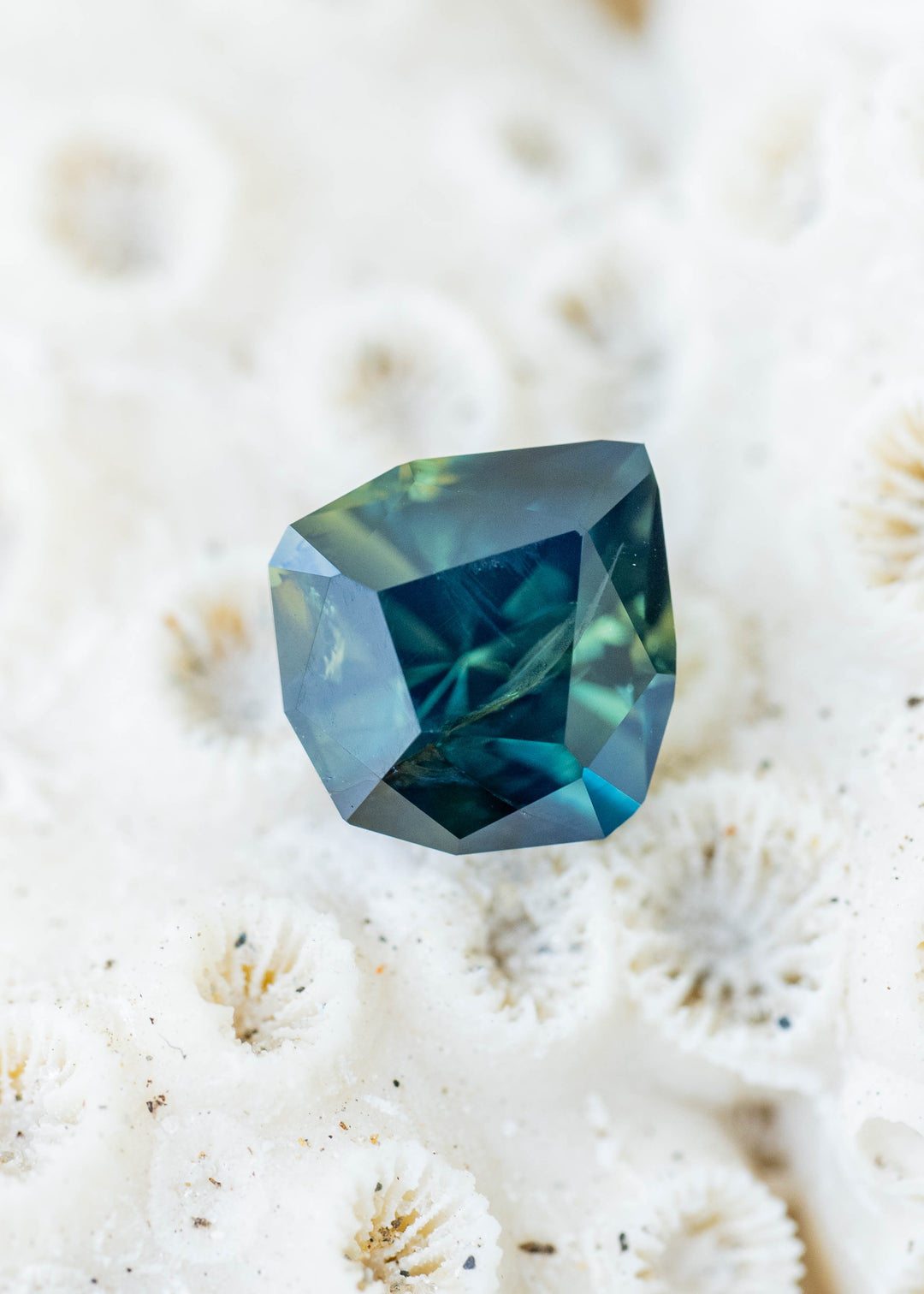 Deep green-blue sapphire resting on textured white coral. Its angular pear-shaped outline surrounds a dark teal center with lighter blue-green reflections and visible natural internal features.