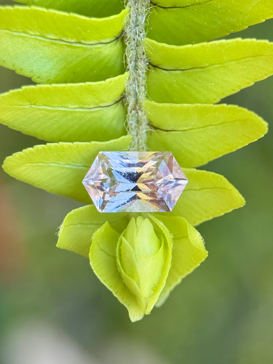 Loose peach pink sapphire in elongated hexagon cut resting on green leaf, natural unheated gemstone from Madagascar.